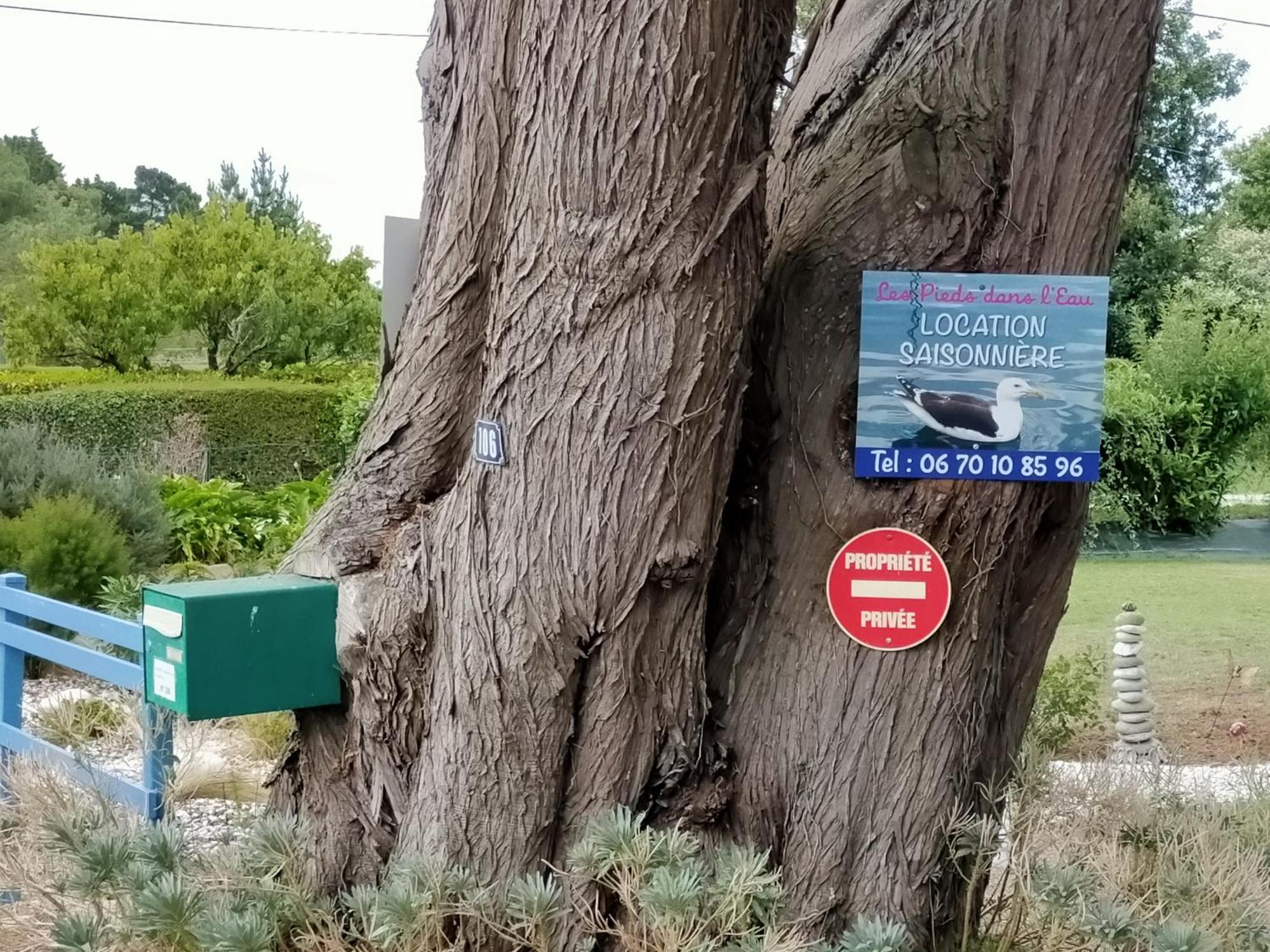 Au Calme, Les Pieds Dans L'Eau, 106 Route De La Pointe De Ruault 56370 Sarzeau Apartment Екстериор снимка